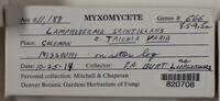 Image Associated With the Occurence